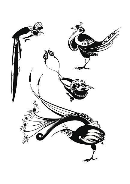 art bird silhouettes Vector original art bird silhouettes collection for design bird of paradise bird stock illustrations