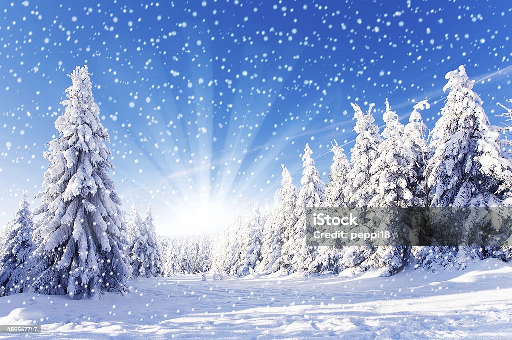 Schnee im winter - Lizenzfrei Schnee Stock-Foto