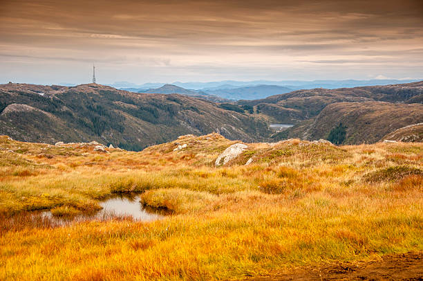 istock Landscape surrounding Bergen in Norway. 459568585