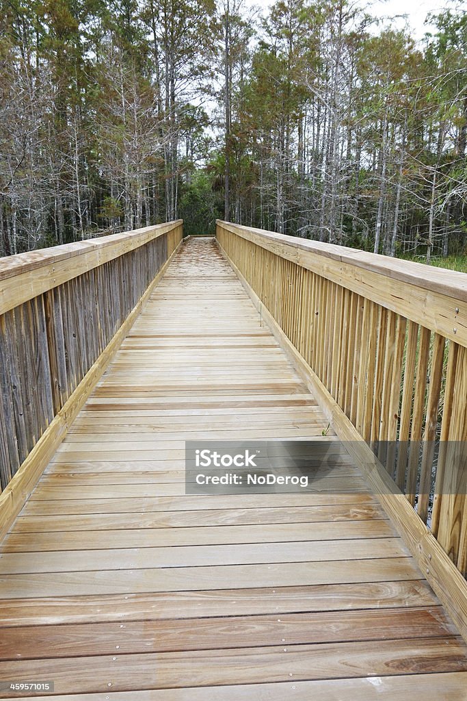 Passerella di legno - Foto stock royalty-free di Albero