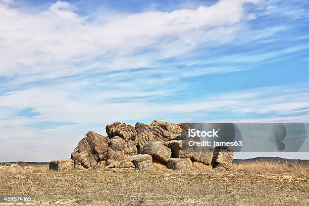 Fardos De Palha No Campo Seco Esquerda - Fotografias de stock e mais imagens de Agricultura - Agricultura, Amarelo, Ao Ar Livre