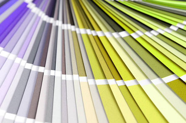 istock Color Swatch for home improvement painting 459578707