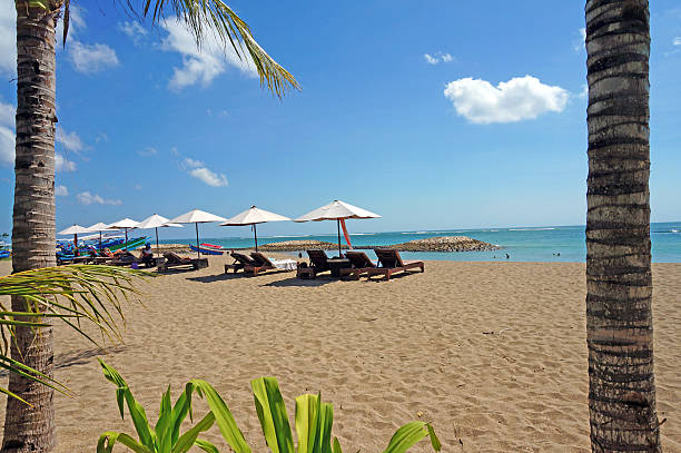 istock Relax on the beach in Bali 459588291