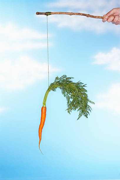 istock Person Dangling Carrot From Stick 459590205