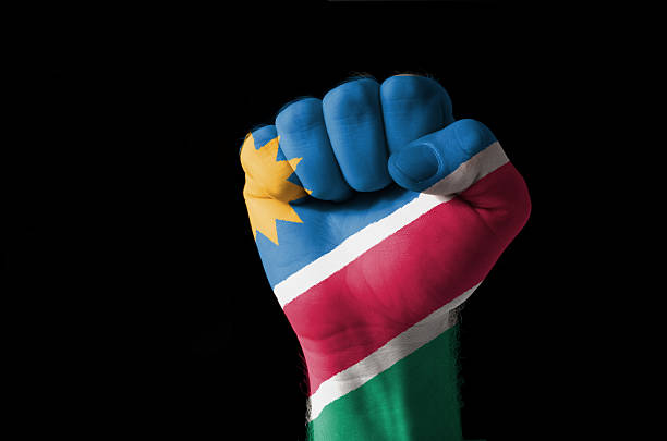 Low key picture of a fist painted in colors of namibia flag