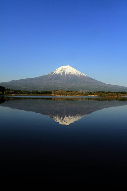 istock Mt. Fuji and Tanuki lake 459595329