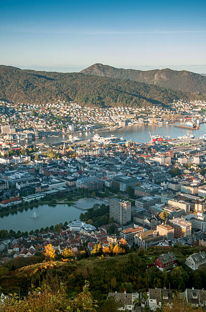 istock Panorama of Bergen from the hill Floyen. 459614973