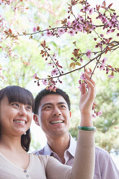 istock Smiling couple touching a branch with cherry blossoms 459615083