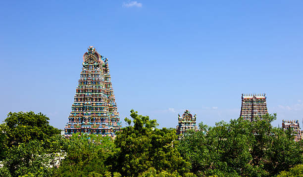 madurai, índia-templo sri meenakshi - madurai imagens e fotografias de stock