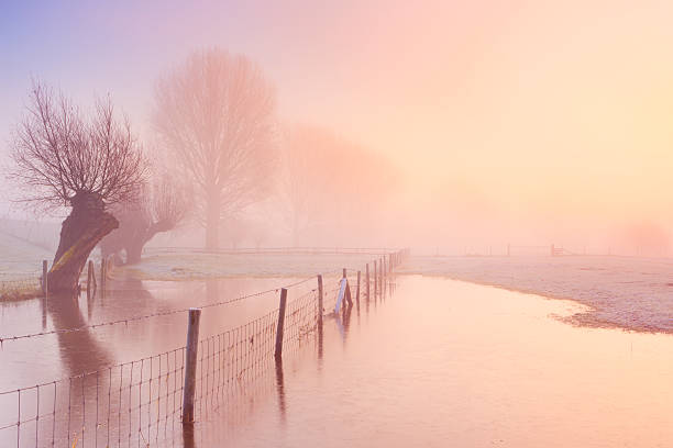 Foggy sunrise along a river, River Lek, The Netherlands A beautiful foggy sunrise on a frosty morning. lek river in the netherlands stock pictures, royalty-free photos & images