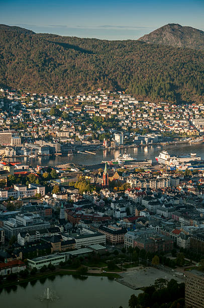 istock Panorama of Bergen from the hill Floyen. 459637013