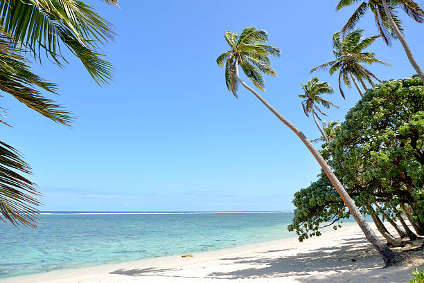 istock Coral coast, Fiji 459643537