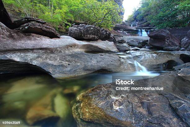 Soi Sawanthailandkgm Cascata - Fotografias de stock e mais imagens de Animal selvagem - Animal selvagem, Ao Ar Livre, Arbusto