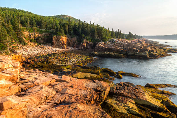 istock Morning Sun at Acadia's Monument Cove 459643873