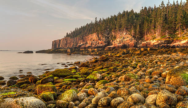 istock Mossy Boulders on Acadia Coast 459643889