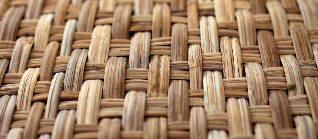 Bamboo texture and pattern
