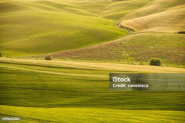 Tipico Paesaggio Rurale Toscano Di Collina - Fotografias de stock e mais imagens de Agricultura - Agricultura, Ajardinado, Ao Ar Livre