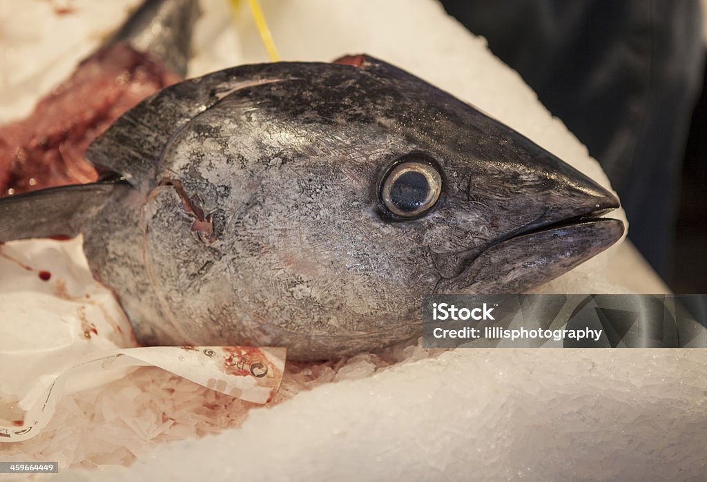 Fish en el mercado de pescados y mariscos en Provence - Foto de stock de Alimento libre de derechos