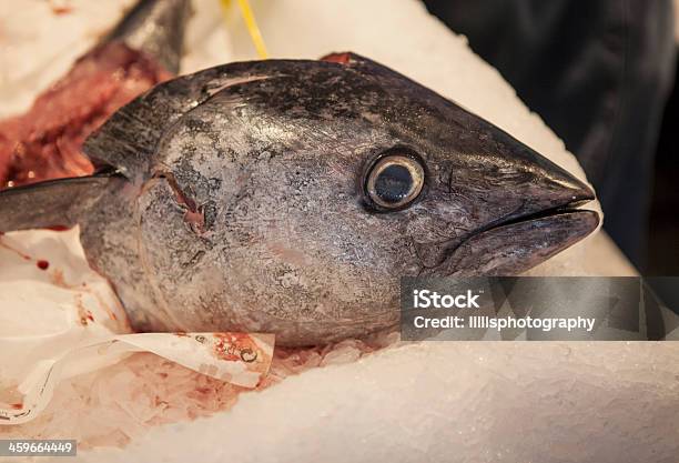 Fish En El Mercado De Pescados Y Mariscos En Provence Foto de stock y más banco de imágenes de Alimento