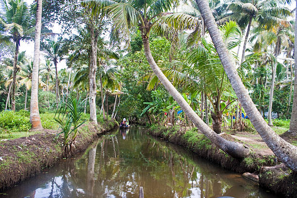 istock Palms along canals and lakes in Backwaters 459672493