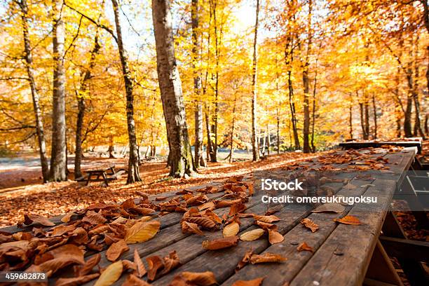 Jesienią Liście Na Stół Piknikowy - zdjęcia stockowe i więcej obrazów Bez ludzi - Bez ludzi, Bliskie zbliżenie, Botanika