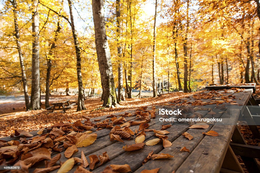 Folhas de outono na mesa de piquenique - Foto de stock de Ajardinado royalty-free