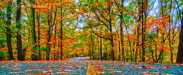 istock autumn country road 459688995