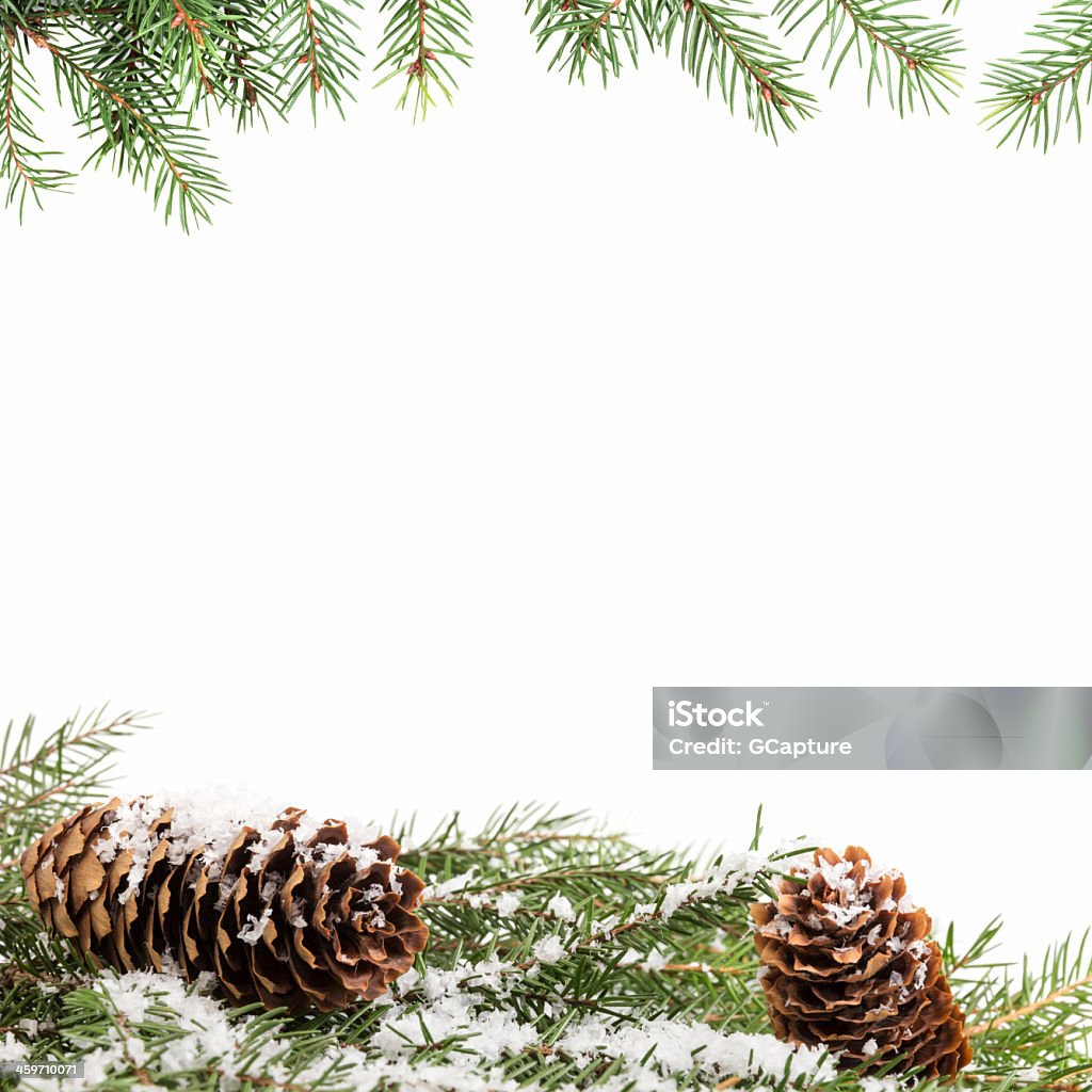 White background framed by for branches and snow christmas ornament background with fir branches, white background Branch - Plant Part Stock Photo