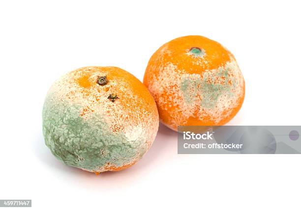 Mouldy Obst Stockfoto und mehr Bilder von Freisteller – Neutraler Hintergrund - Freisteller – Neutraler Hintergrund, Fotografie, Horizontal