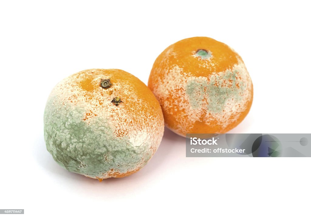 Mouldy frutta - Foto stock royalty-free di Scontornabile