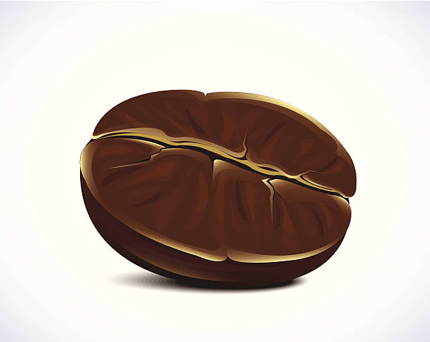 coffee bean - white background stack heap food and drink stock illustrations