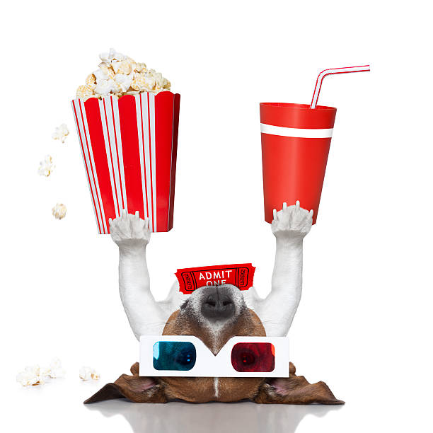 istock movie cinema dog 459722929