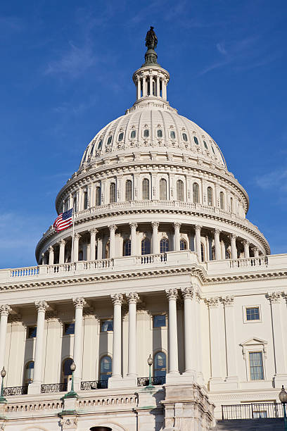 istock US Capitol Building with American Flag 459723203