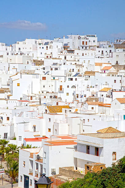 istock Vejer de la Frontera, Andalusia, Spain. 459730629