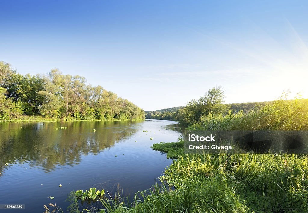 Summer river at sunset Beautiful silent summer river under the evening sun River Stock Photo