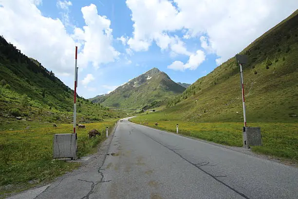 Road in a beautiful Alpine scenery. Small rivers with pure water, cows and horses are part of the landscape during summer season. This area is close to the Alpine tree line. Kühtai and Sellrain are famous excursion destinations for tourism in Tyrol, Austria.