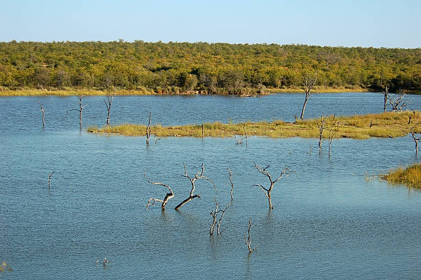 istock Lake on Africa 459862157
