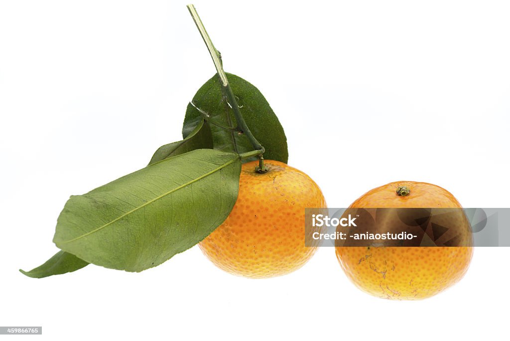 mandarin orange fruit - Lizenzfrei Ast - Pflanzenbestandteil Stock-Foto