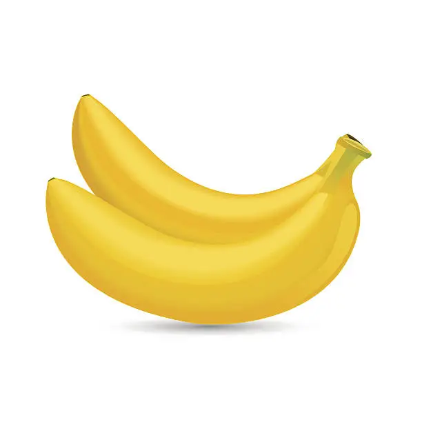 Vector illustration of two bananas