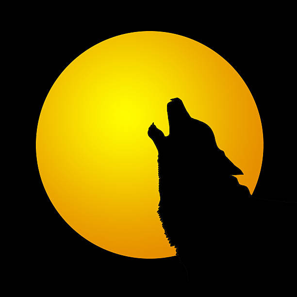 istock Wolf howling in front of a full moon 459870397