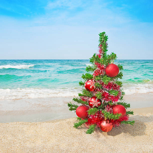istock Decorated christmas tree on the sea beach. 459871751