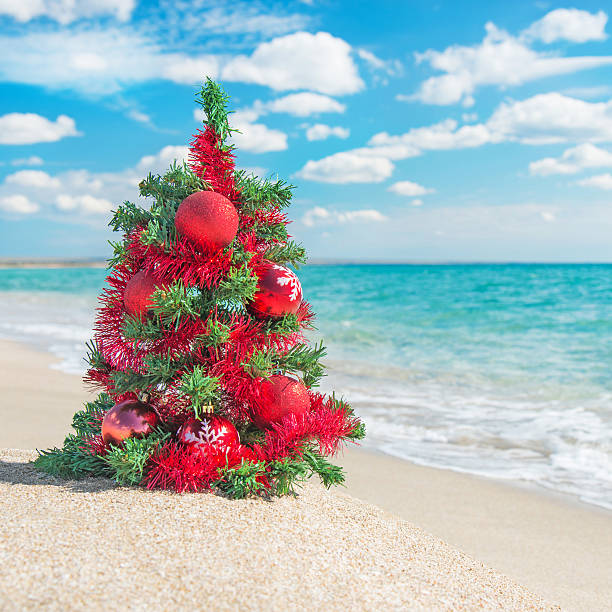 istock Decorated christmas tree on the sea beach. 459871921