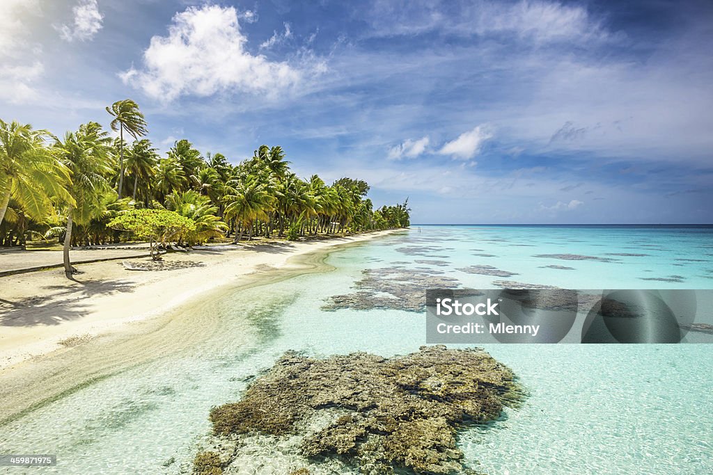 Polynésie française Paradise Beach - Photo de Activité de loisirs libre de droits