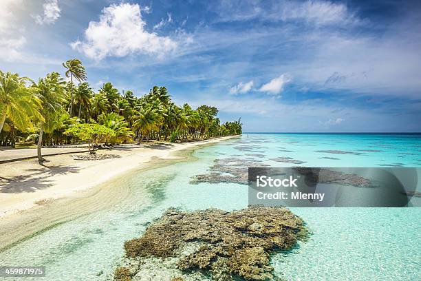 Французская Полинезия Paradise Beach — стоковые фотографии и другие картинки Без людей - Без людей, Белый, Бирюзовый