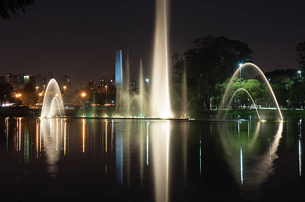 istock Ibirapuera park, sao paulo , Brazil 459874353