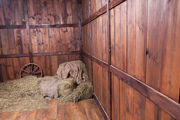 istock Wood and hay background 459874615