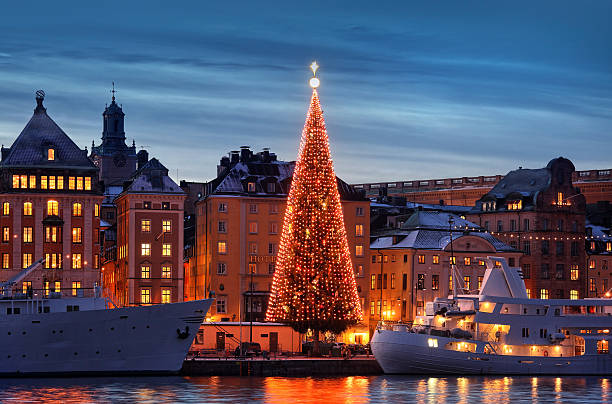 istock Stockholms old city with christmas tree 459876417