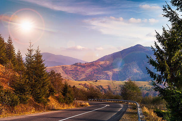 istock pine trees near valley in mountains and autumn forest 459876627