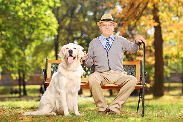 istock Confident senior gentleman sitting on bench with his dog 459877839