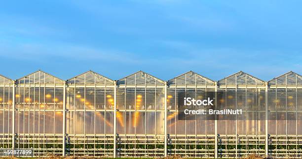 Foto de Estufas e mais fotos de stock de Agricultura - Agricultura, Arquitetura, Azul